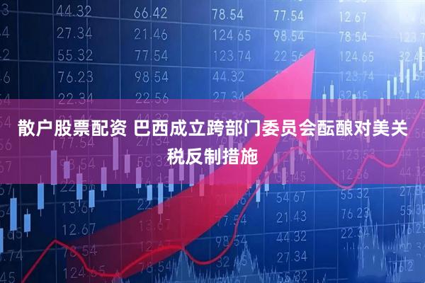 散户股票配资 巴西成立跨部门委员会酝酿对美关税反制措施