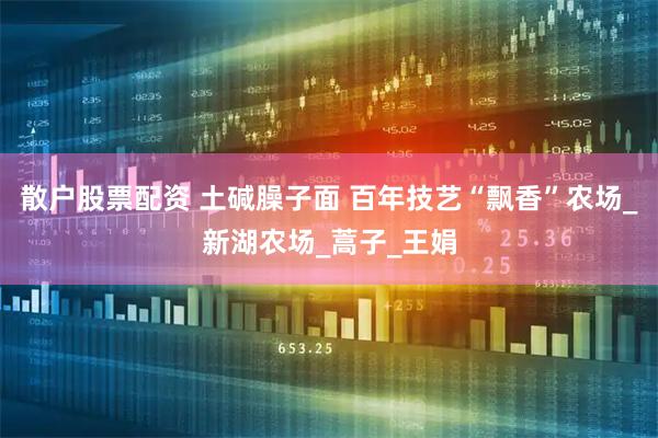 散户股票配资 土碱臊子面 百年技艺“飘香”农场_新湖农场_蒿子_王娟