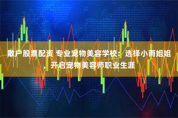 散户股票配资 专业宠物美容学校：选择小雨姐姐，开启宠物美容师职业生涯